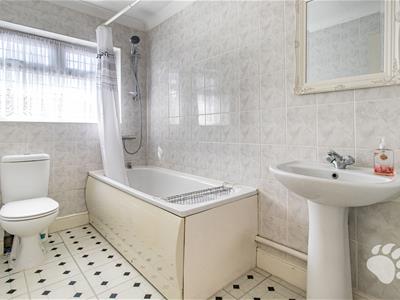 Picture 20